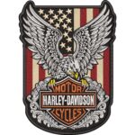 American Eagle Motorcycle Patch